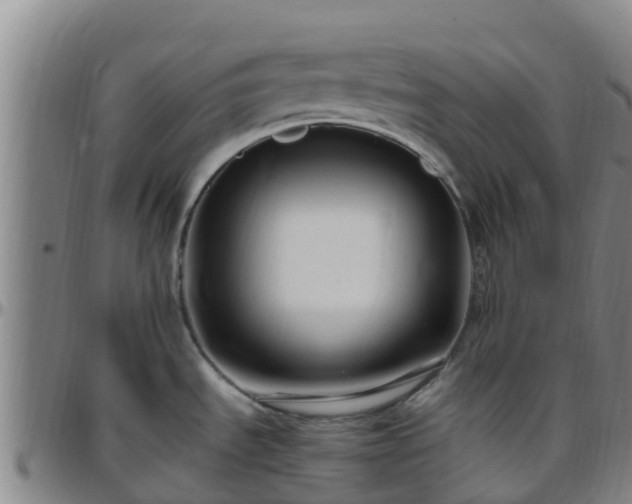 X0000096451535200801311439
