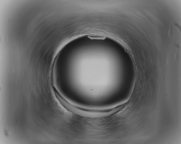 X0000096451536200801311440