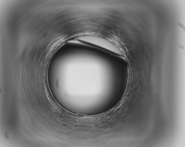 X0000096450001200802071822