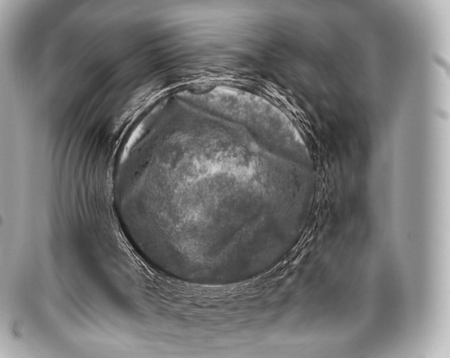 X0000096450002200802071822