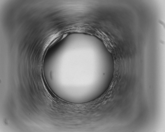 X0000096450003200802071822