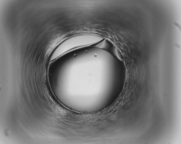 X0000096450005200802071822