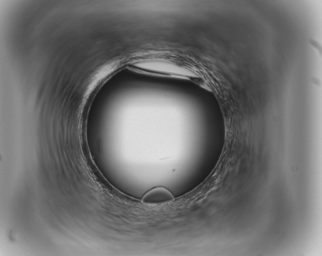 X0000096450006200802071822