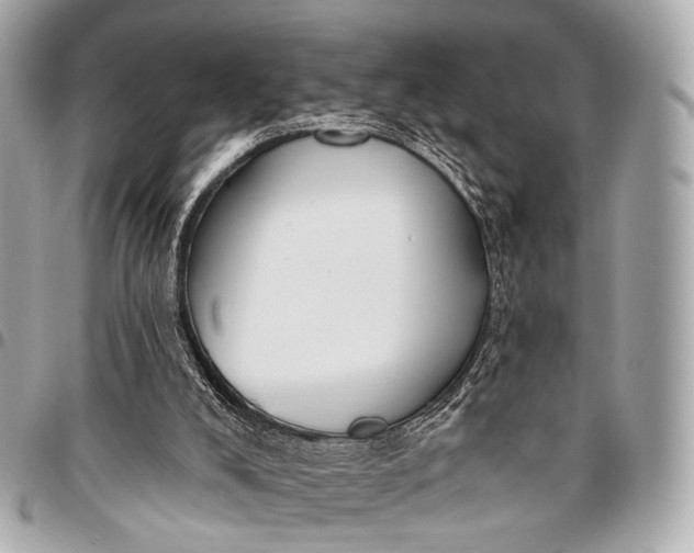 X0000096450008200802071822