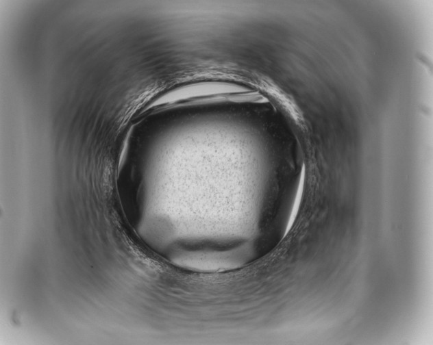 X0000096450009200802071822