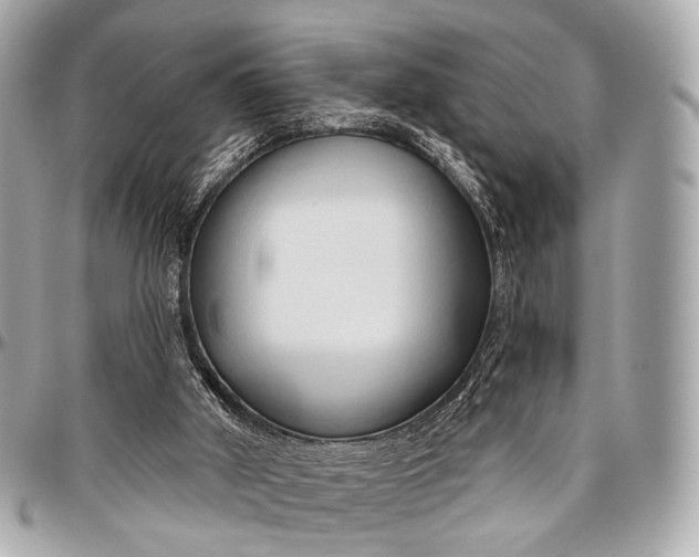 X0000096450010200802071822