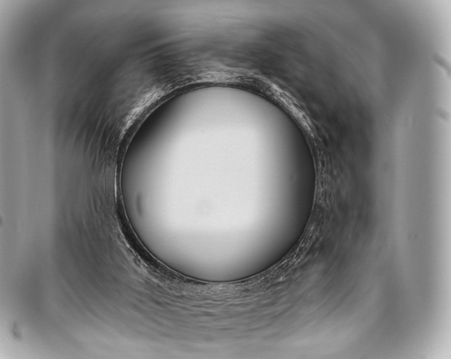 X0000096450011200802071822