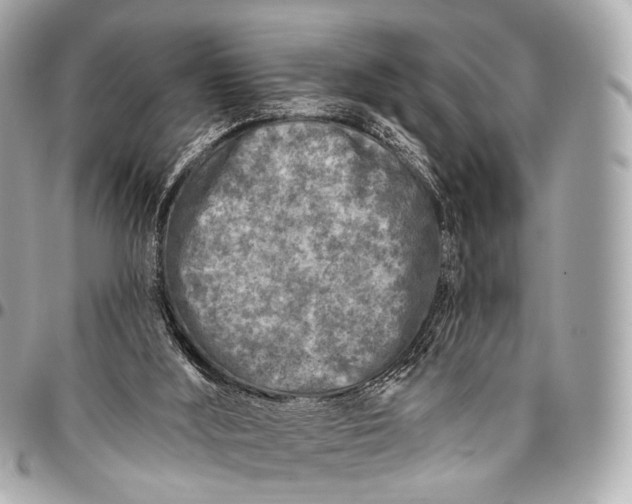 X0000096450012200802071822