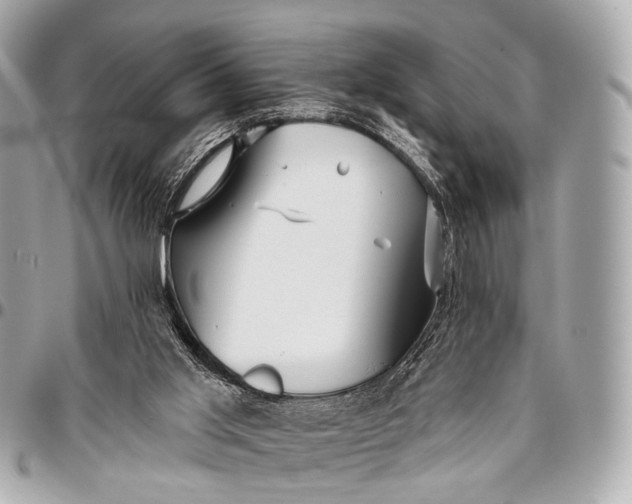 X0000096450013200802071822