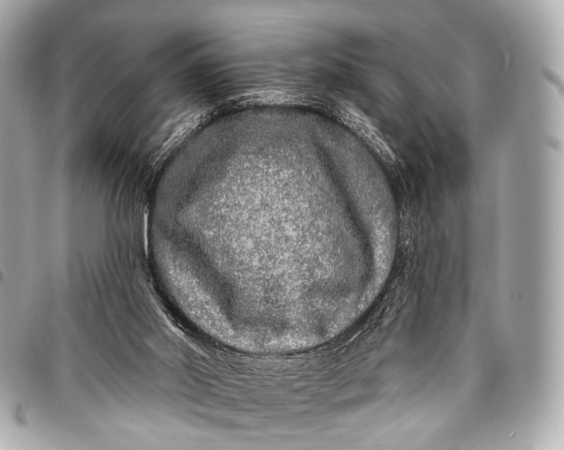 X0000096450014200802071822