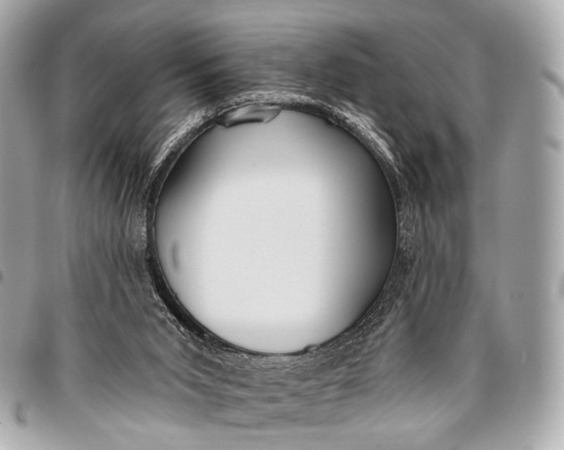 X0000096450015200802071822