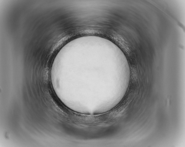 X0000096450016200802071822