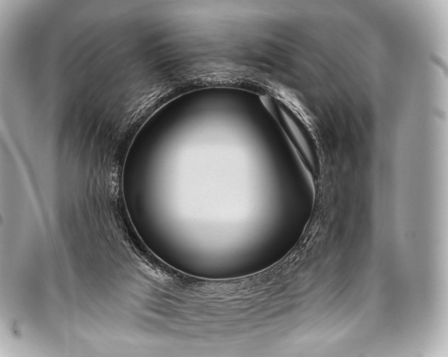 X0000096450017200802071822