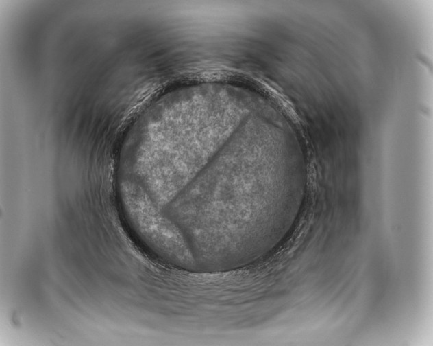 X0000096450018200802071822