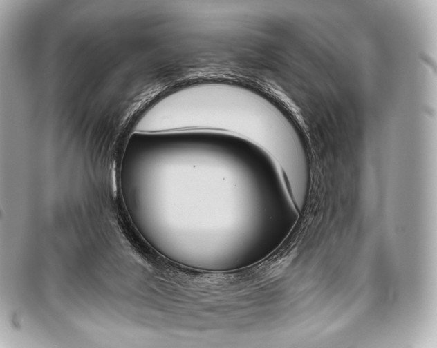 X0000096450020200802071822