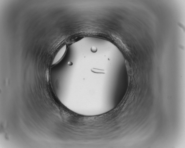 X0000096450021200802071822