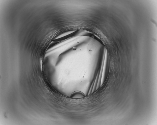 X0000096450022200802071822