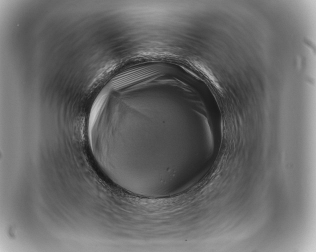 X0000096450023200802071822