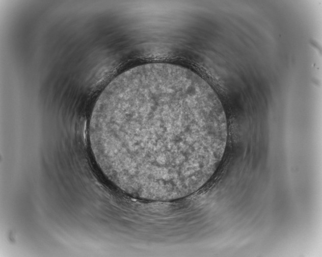 X0000096450024200802071822