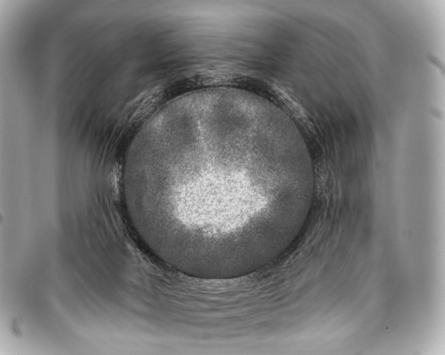 X0000096450026200802071822