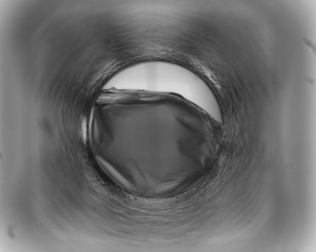 X0000096450027200802071822