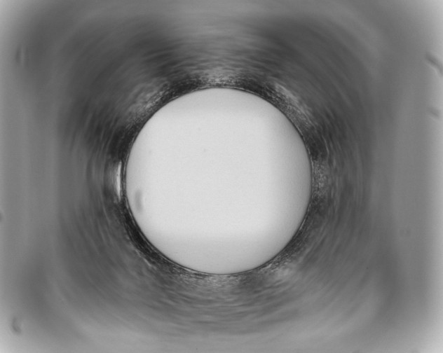 X0000096450028200802071822