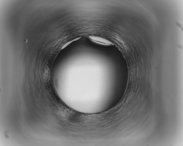 X0000096450029200802071822