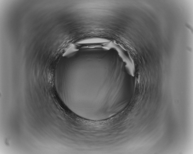 X0000096450031200802071822