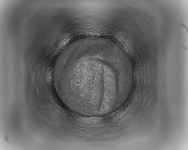 X0000096450032200802071822