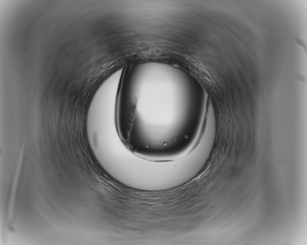 X0000096450033200802071822