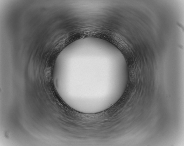 X0000096450034200802071822