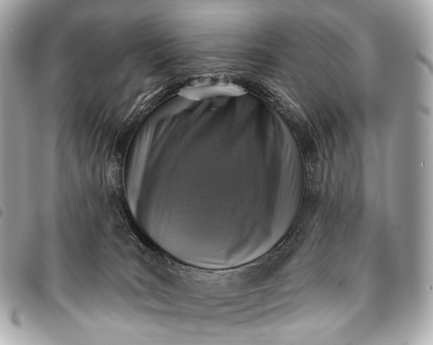 X0000096450035200802071822