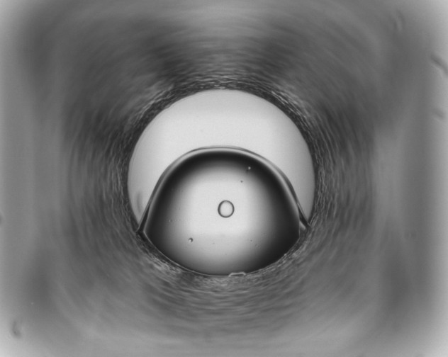 X0000096450037200802071822