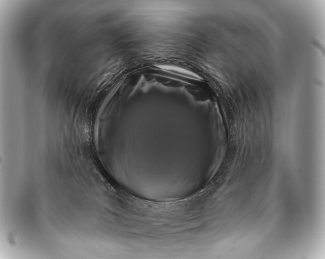 X0000096450039200802071822