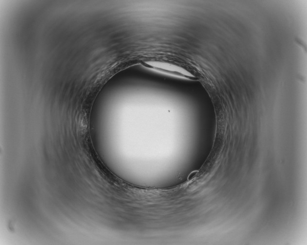 X0000096450040200802071822