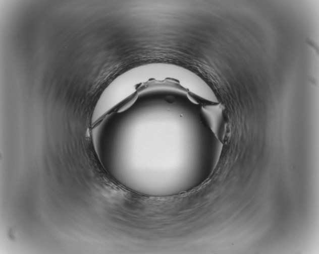 X0000096450041200802071822