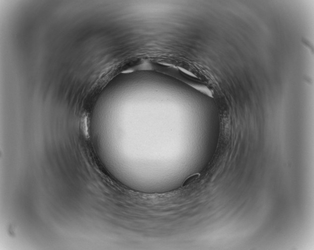 X0000096450042200802071822