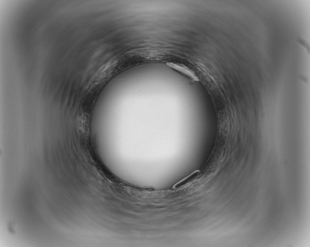 X0000096450044200802071822