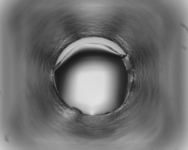 X0000096450045200802071822