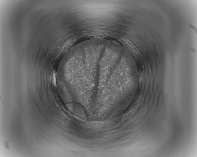 X0000096450046200802071822