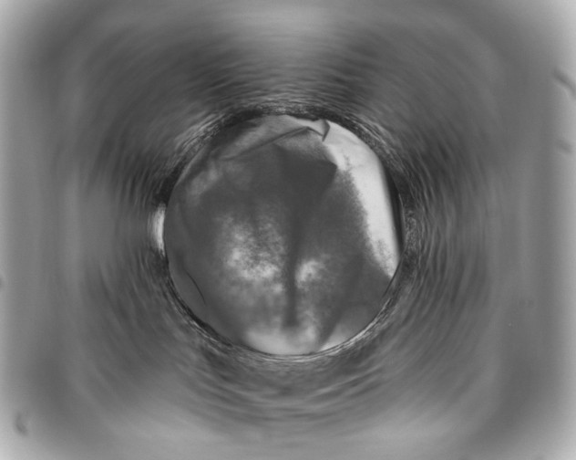 X0000096450047200802071822