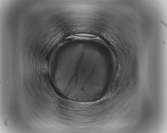 X0000096450048200802071822