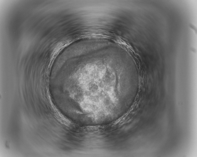 X0000096450049200802071821