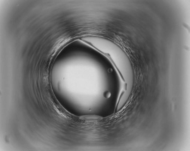 X0000096450050200802071821