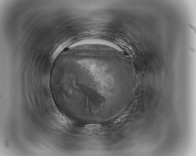 X0000096450051200802071821