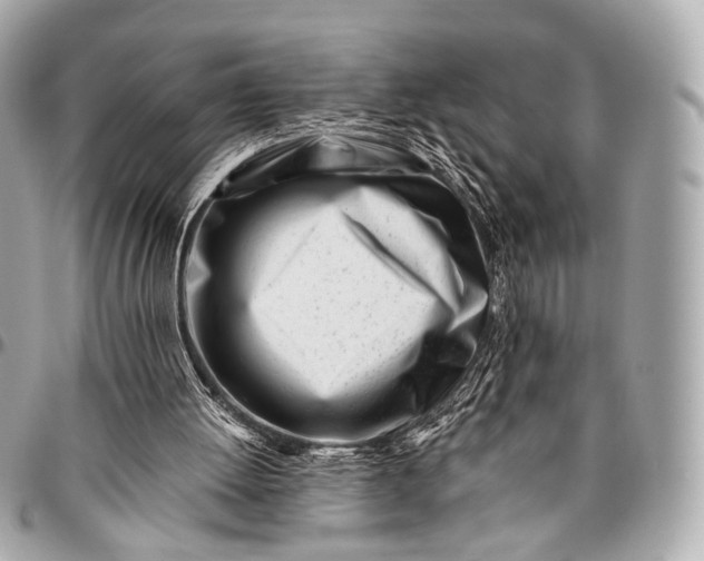 X0000096450052200802071821