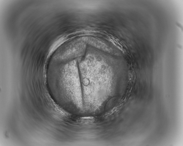 X0000096450053200802071821