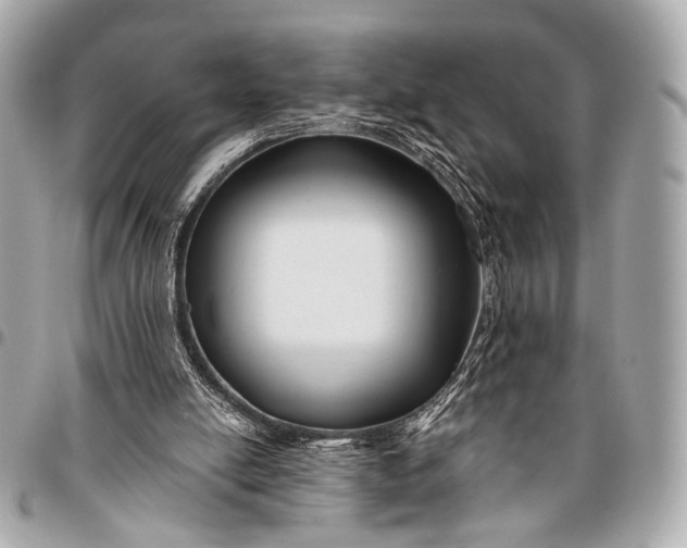 X0000096450054200802071821