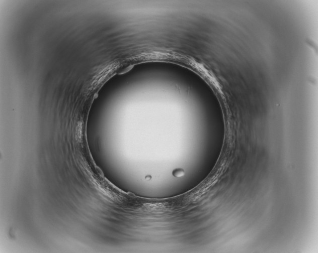 X0000096450057200802071821