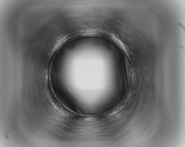 X0000096450059200802071821